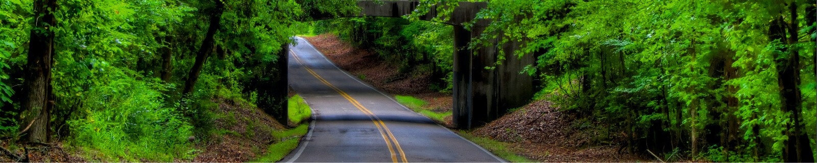 banner-header
